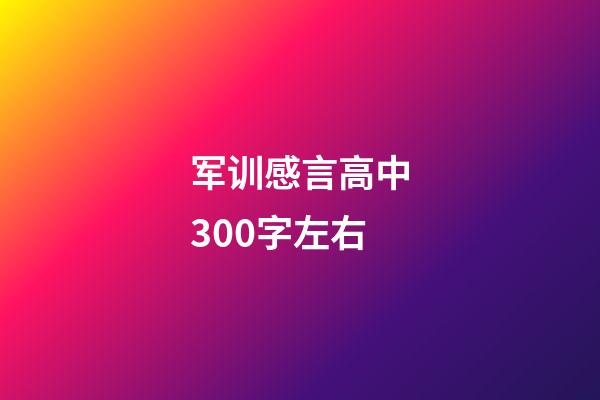军训感言高中300字左右