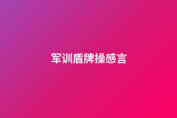 军训盾牌操感言