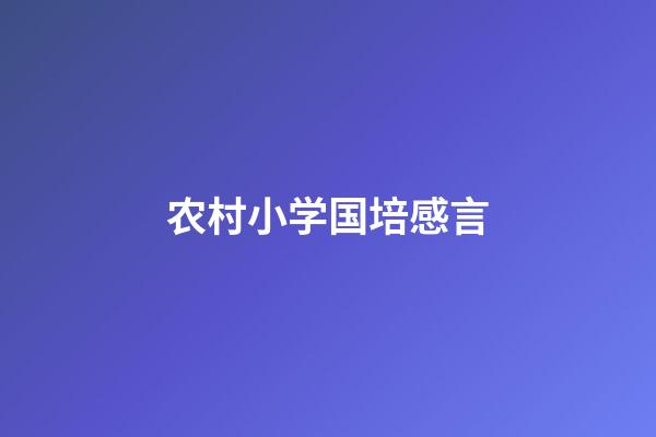 农村小学国培感言