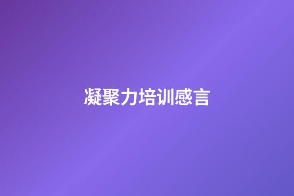 凝聚力培训感言