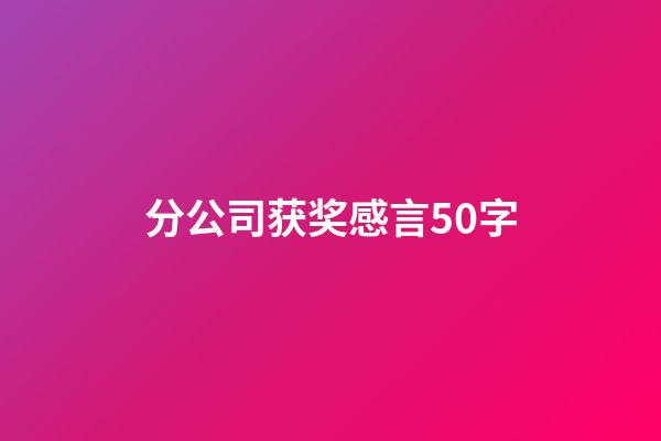 分公司获奖感言50字