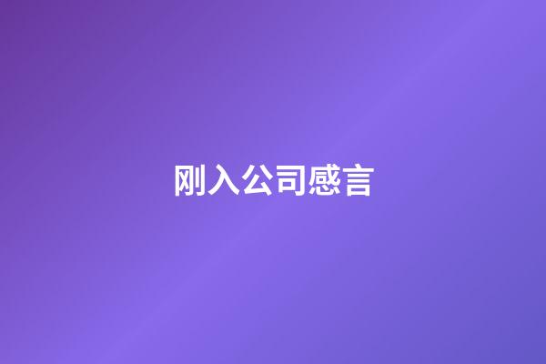 刚入公司感言