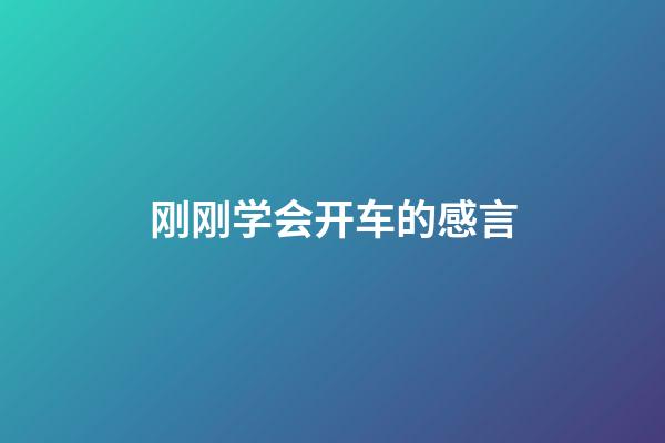 刚刚学会开车的感言