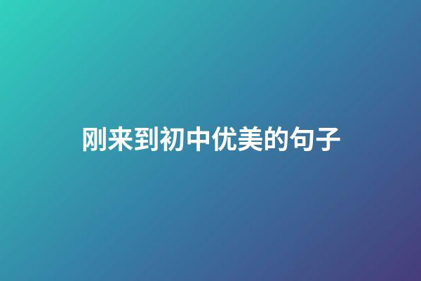 刚来到初中优美的句子