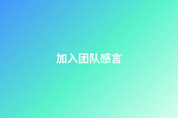 加入团队感言