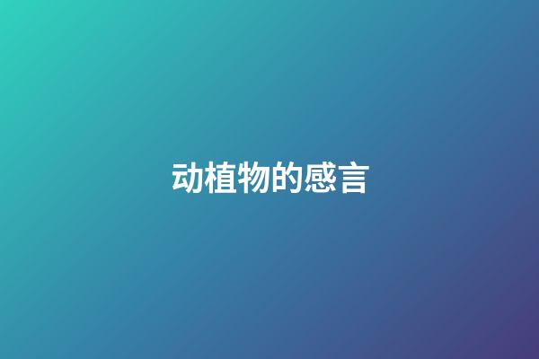 动植物的感言