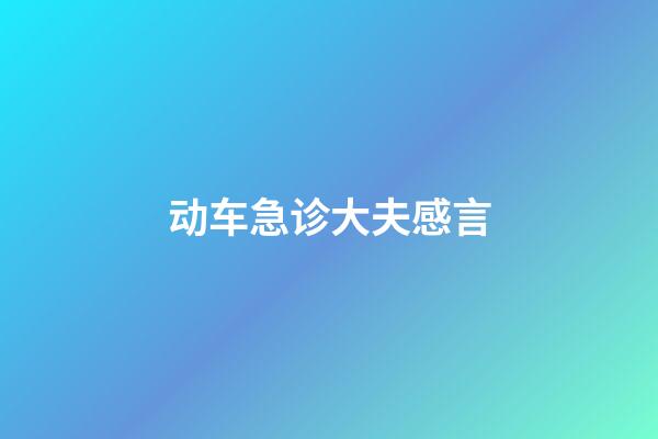 动车急诊大夫感言