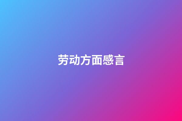 劳动方面感言