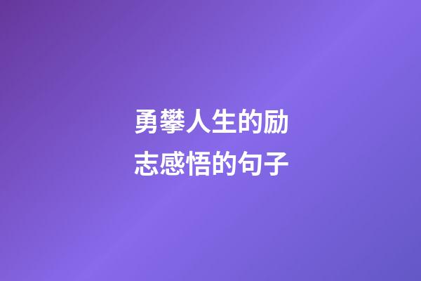 勇攀人生的励志感悟的句子