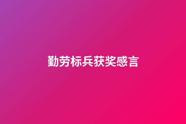 勤劳标兵获奖感言