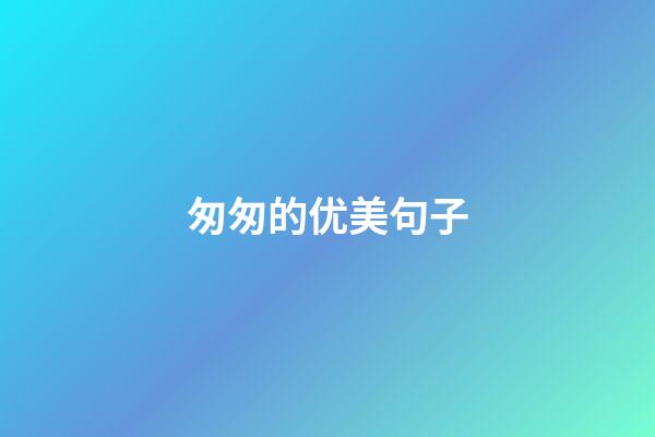 匆匆的优美句子