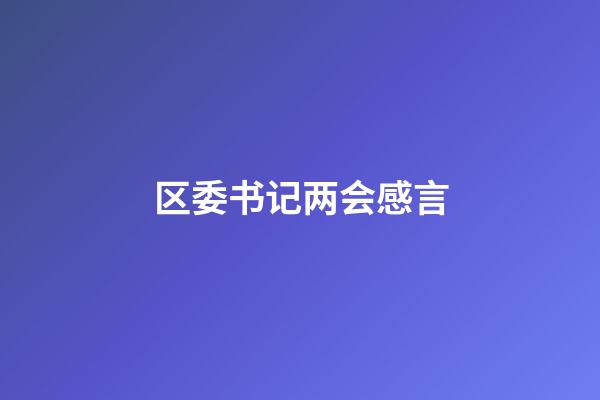 区委书记两会感言