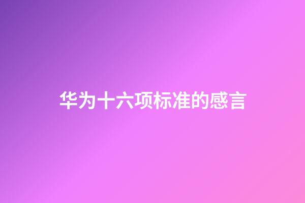 华为十六项标准的感言