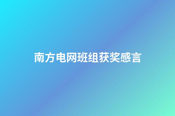 南方电网班组获奖感言