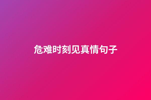 危难时刻见真情句子
