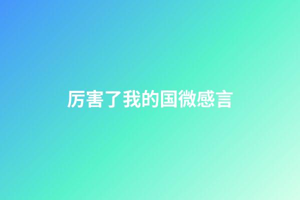 厉害了我的国微感言