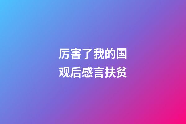 厉害了我的国观后感言扶贫