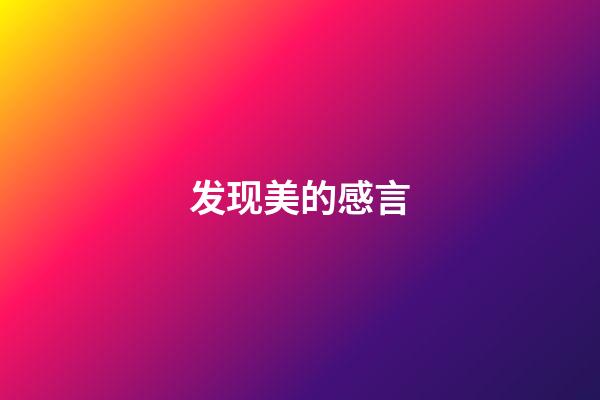 发现美的感言