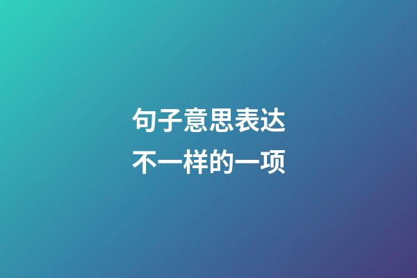 句子意思表达不一样的一项