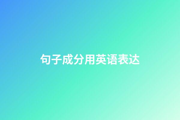 句子成分用英语表达