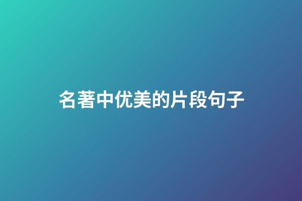 名著中优美的片段句子