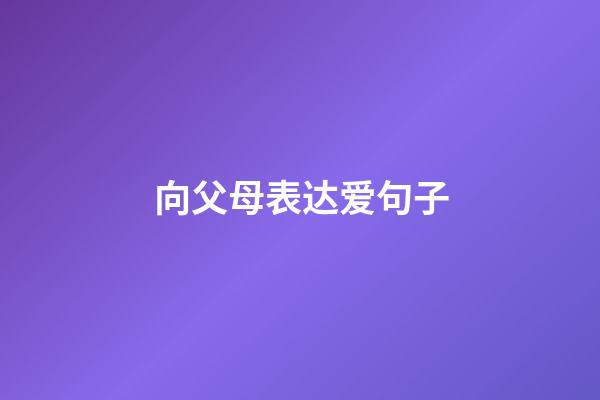 向父母表达爱句子