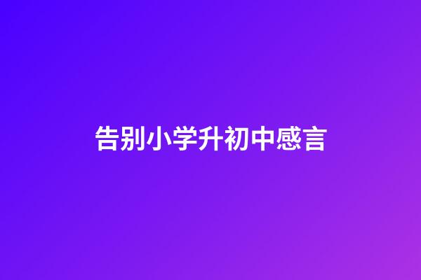 告别小学升初中感言