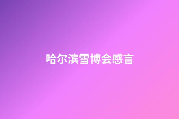 哈尔滨雪博会感言