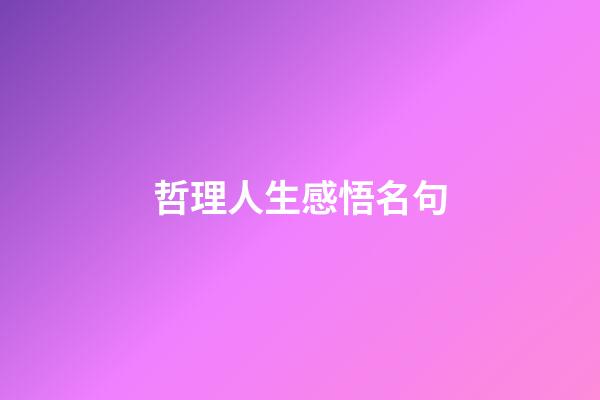 哲理人生感悟名句