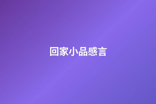 回家小品感言