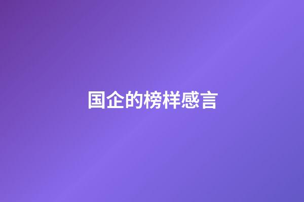 国企的榜样感言