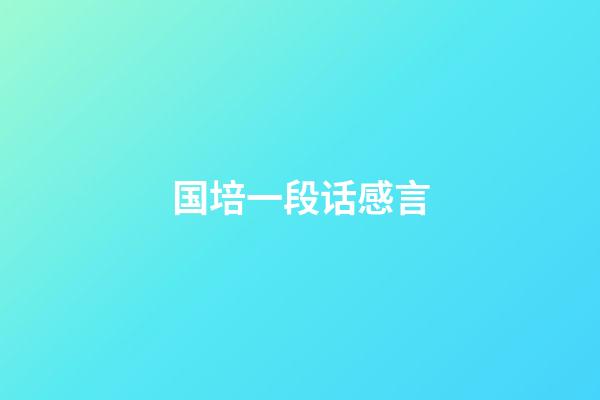 国培一段话感言