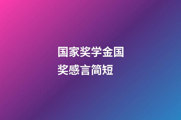 国家奖学金国奖感言简短