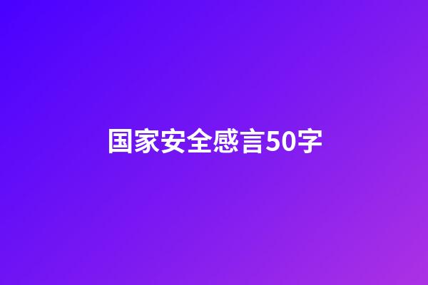 国家安全感言50字
