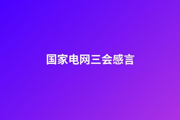 国家电网三会感言