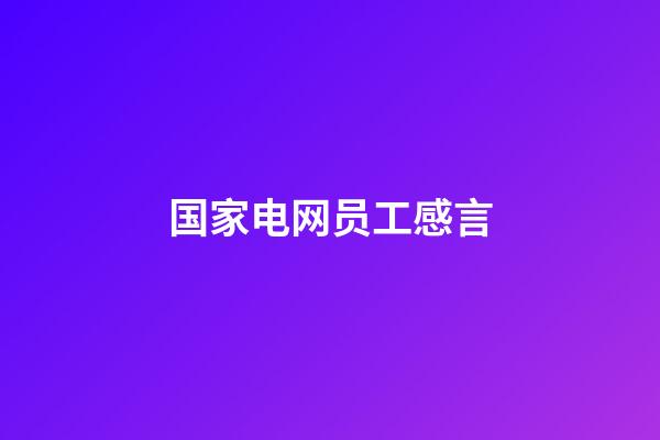 国家电网员工感言