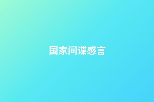 国家间谍感言