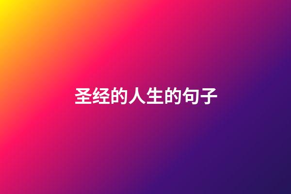 圣经的人生的句子