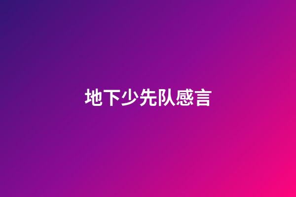 地下少先队感言