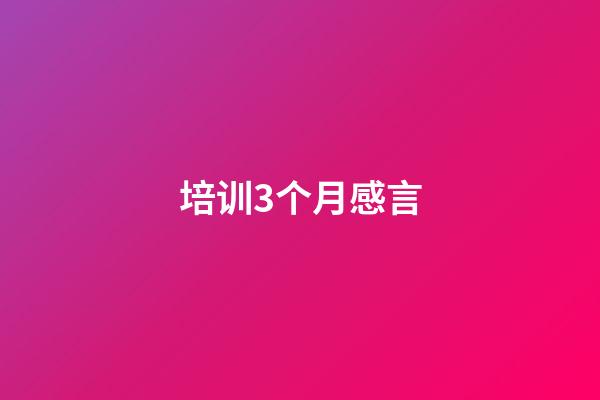 培训3个月感言