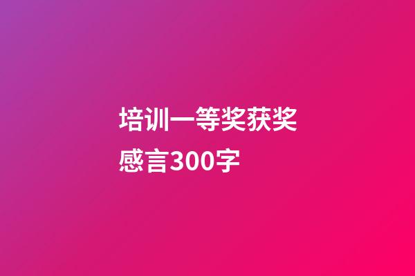 培训一等奖获奖感言300字