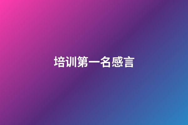 培训第一名感言
