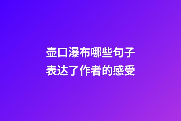 壶口瀑布哪些句子表达了作者的感受