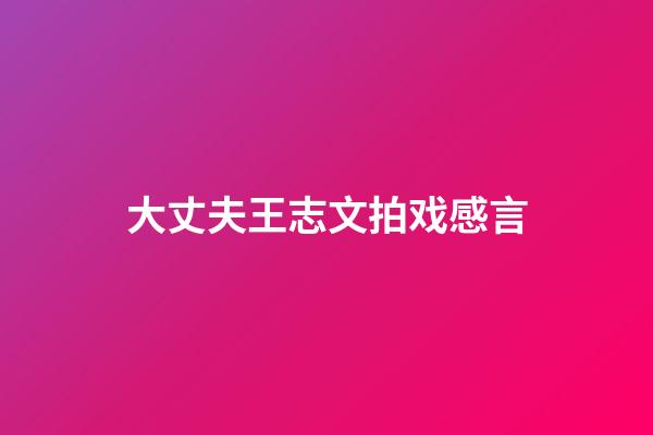 大丈夫王志文拍戏感言