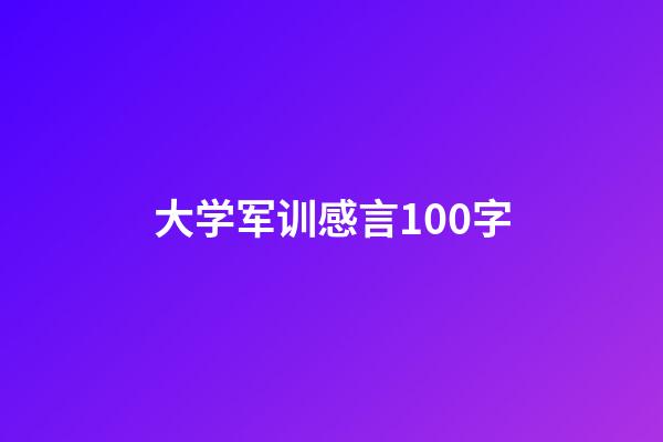 大学军训感言100字