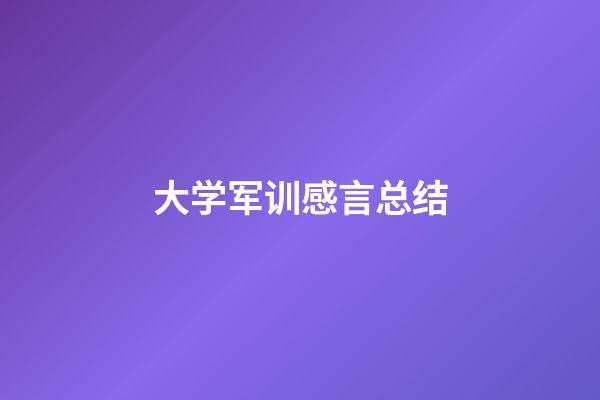 大学军训感言总结