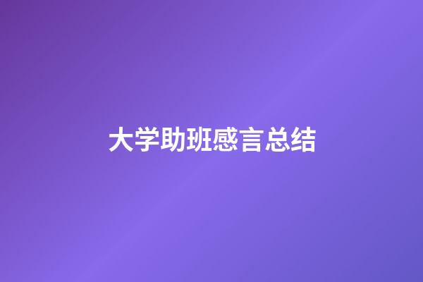 大学助班感言总结