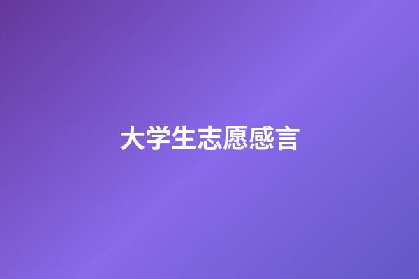 大学生志愿感言