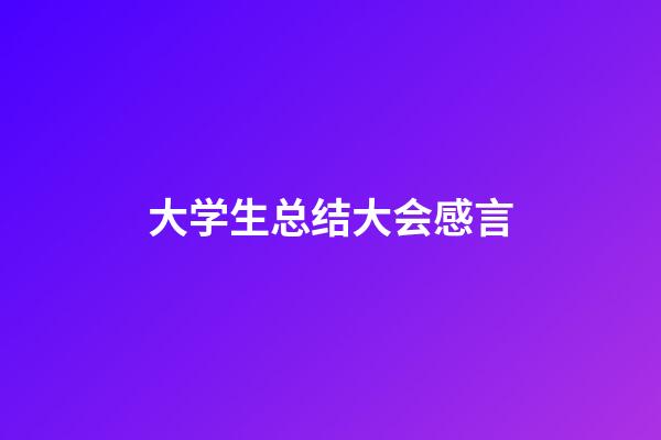 大学生总结大会感言