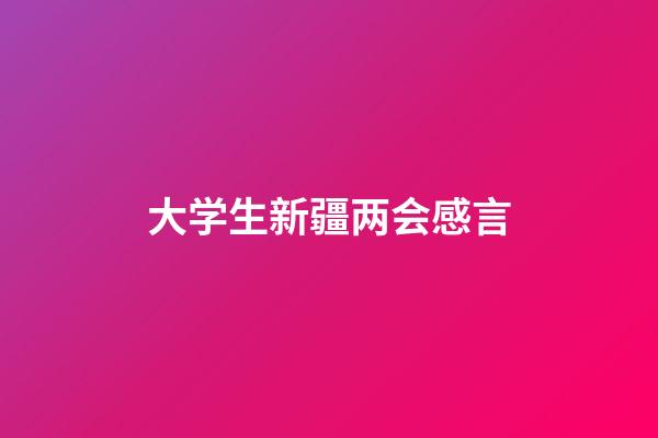 大学生新疆两会感言
